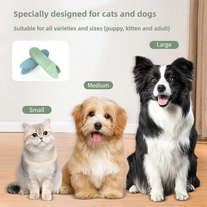 Pet Toothbrush