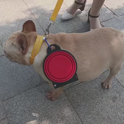 2-in-1 Collapsible Travel Dog Bowl